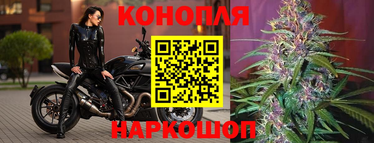 Шишки марихуана сатива Моздок